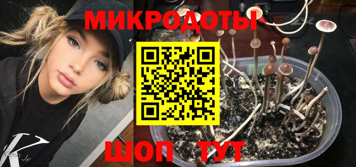 Галлюциногенные грибы ЛСД Курчатов